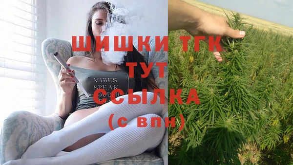 винт Алзамай