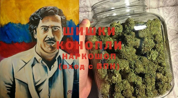 винт Алзамай