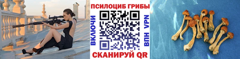 где купить наркоту  MEGA ONION  Псилоцибиновые грибы мицелий  Петухово 